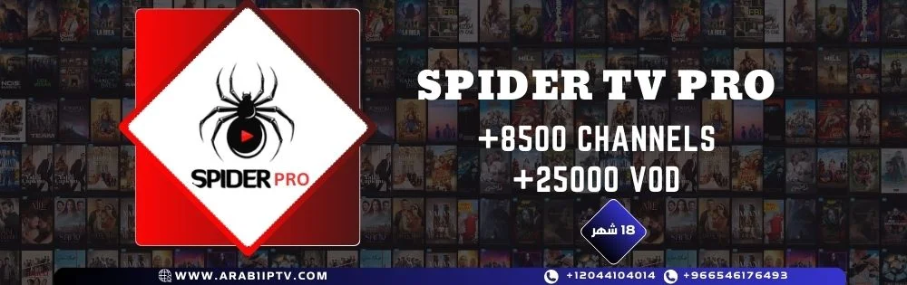 اشتراك سبايدر تي في SPIDER TV